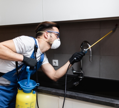 Chris Pest Control Seville Milestone